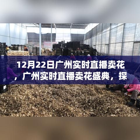 广州花卉直播盛典，探寻花卉市场繁荣脉络