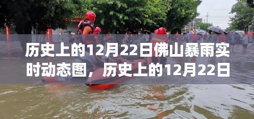 揭秘历史暴雨真相，佛山12月22日暴雨事件深度解析与动态图背后的故事