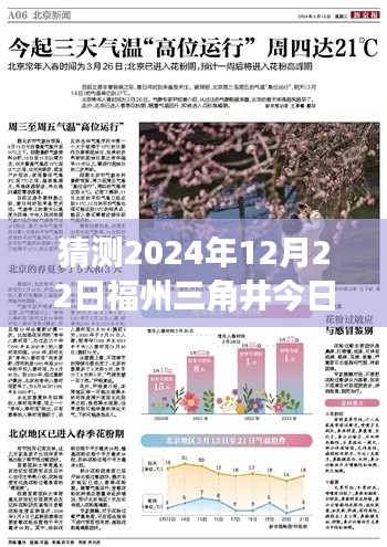 福州三角井地区2024年12月22日实时新闻预测与聚焦