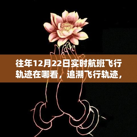 探寻往年12月22日航班飞行轨迹，实时轨迹追溯与历史脉络探寻服务开启