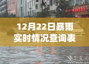 12月22日暴雨实时查询表，小巷秘境与美食宝藏探秘