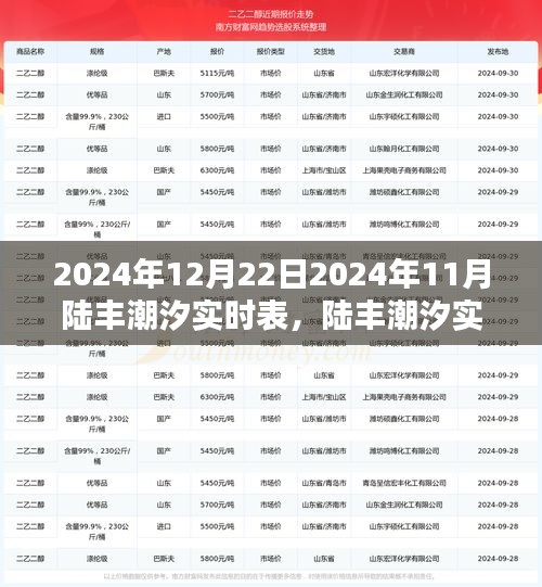 深度探索陆丰潮汐监测数据，实时表评测与潮汐实时表（2024年12月陆丰潮汐实时表）