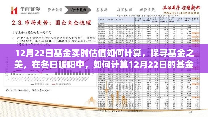 12月22日基金实时估值解析，探寻基金之美与内心宁静之旅