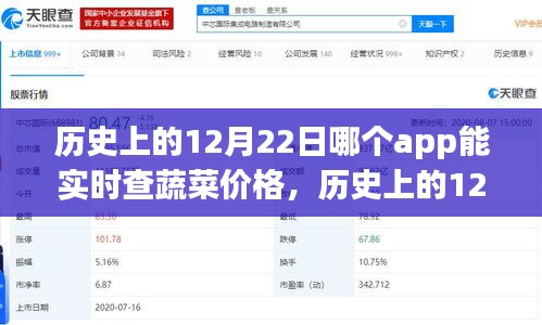 历史上的12月22日蔬菜价格实时查询APP的发展与影响，哪个应用能实时查看蔬菜价格？