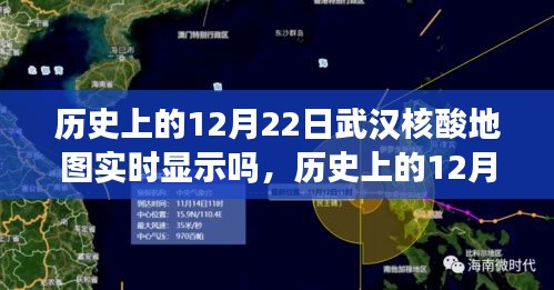 历史上的武汉核酸地图在12月22日的实时显示，视角解读与问题探讨