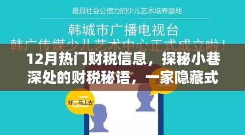 探秘十二月财税新风，小巷深处的特色小店揭示财税秘语