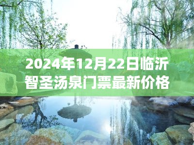 2024年12月25日 第17页