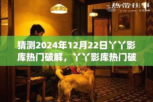 丫丫影库热门破解背后的探索与犯罪现象观察，预测2024年12月22日的网络热点