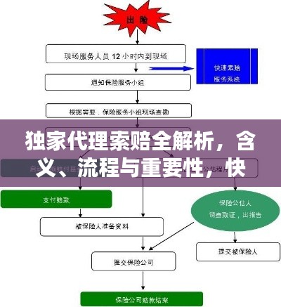 独家代理索赔全解析，含义、流程与重要性，快速了解索赔要点！