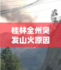 桂林全州突发山火原因揭秘