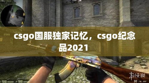 csgo国服独家记忆，csgo纪念品2021 