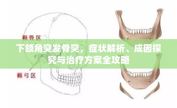 下颌角突发骨突，症状解析、成因探究与治疗方案全攻略