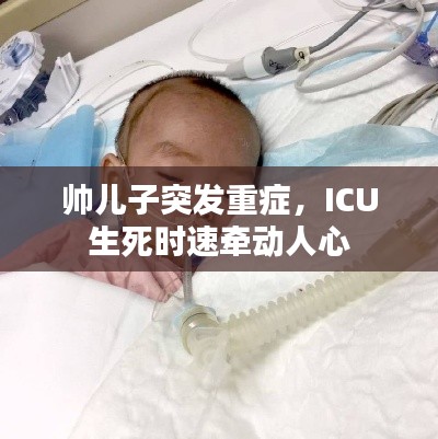 帅儿子突发重症，ICU生死时速牵动人心