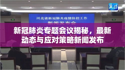 新冠肺炎专题会议揭秘，最新动态与应对策略新闻发布