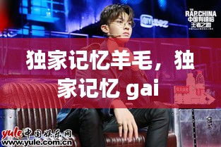 独家记忆羊毛，独家记忆 gai 