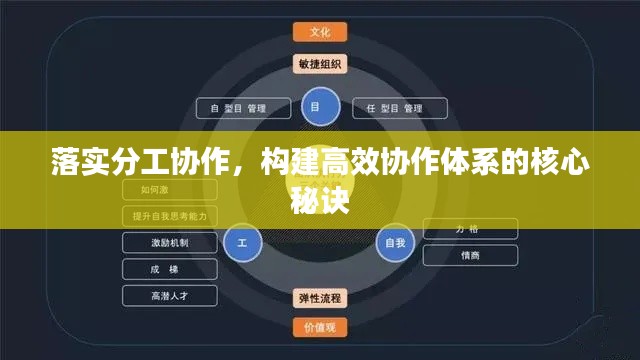 落实分工协作，构建高效协作体系的核心秘诀