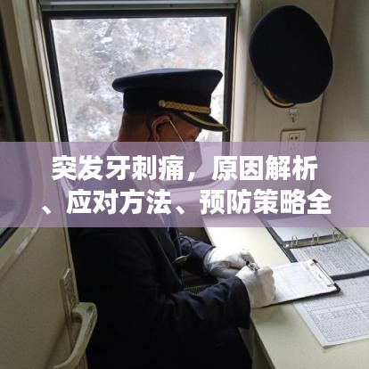 突发牙刺痛，原因解析、应对方法、预防策略全攻略