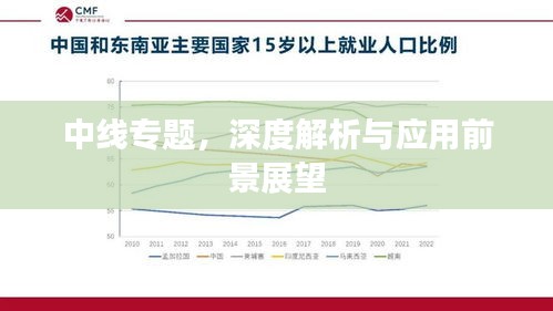 中线专题，深度解析与应用前景展望