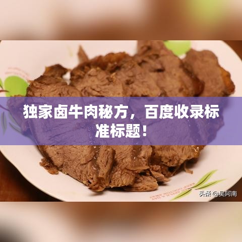 独家卤牛肉秘方，百度收录标准标题！