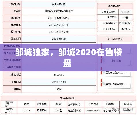 邹城独家，邹城2020在售楼盘 