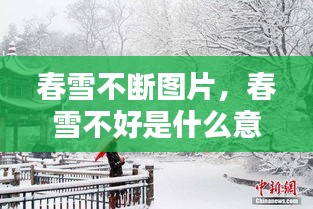 春雪不断图片，春雪不好是什么意思 