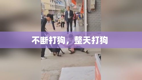 不断打狗，整天打狗 