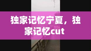 独家记忆宁夏，独家记忆cut 