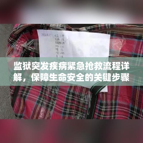 监狱突发疾病紧急抢救流程详解，保障生命安全的关键步骤