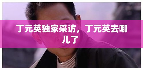 丁元英独家采访，丁元英去哪儿了 