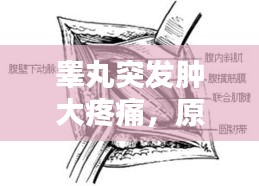 睾丸突发肿大疼痛，原因解析、诊断指南与治疗策略