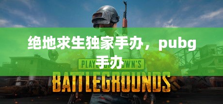 绝地求生独家手办，pubg手办 