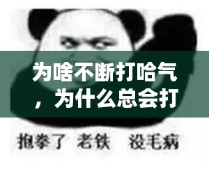 为啥不断打哈气，为什么总会打哈气 