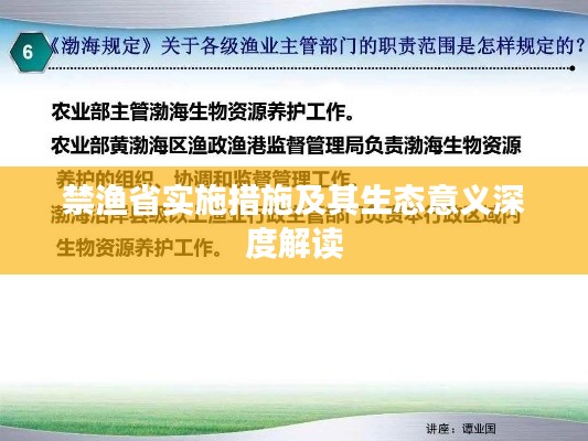 禁渔省实施措施及其生态意义深度解读