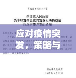 应对疫情突发，策略与实践探索