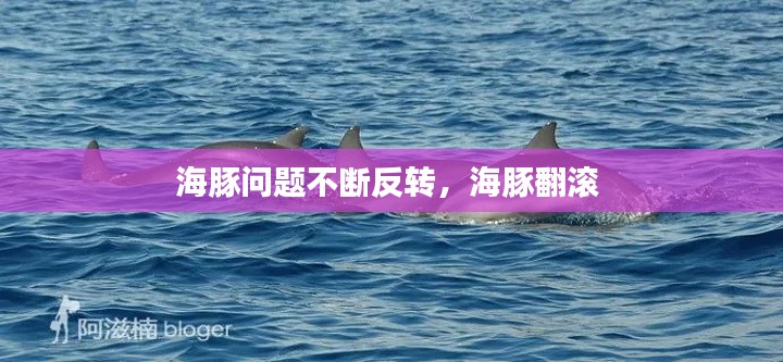 海豚问题不断反转，海豚翻滚 