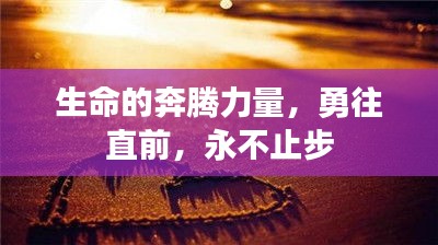 生命的奔腾力量，勇往直前，永不止步