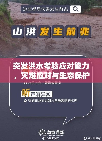 突发洪水考验应对能力，灾难应对与生态保护刻不容缓