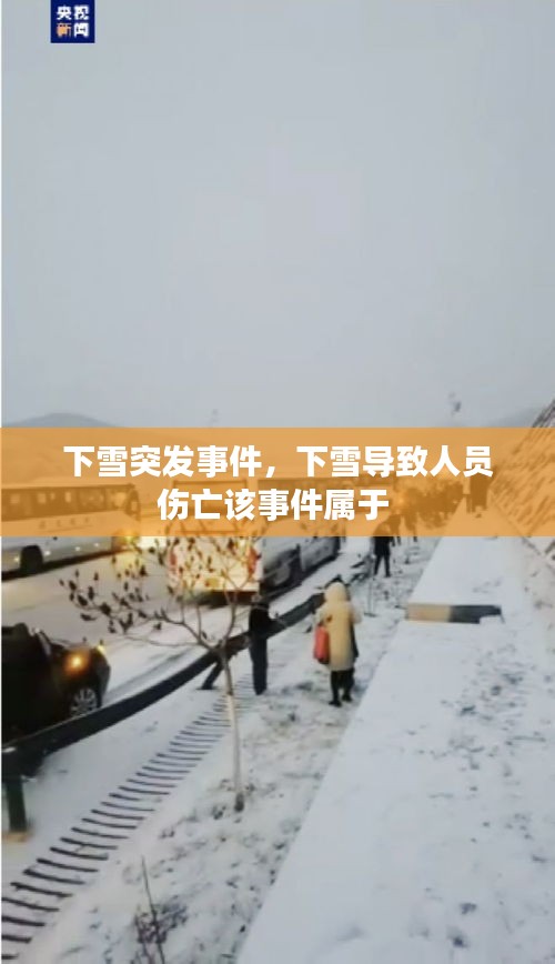 下雪突发事件，下雪导致人员伤亡该事件属于 