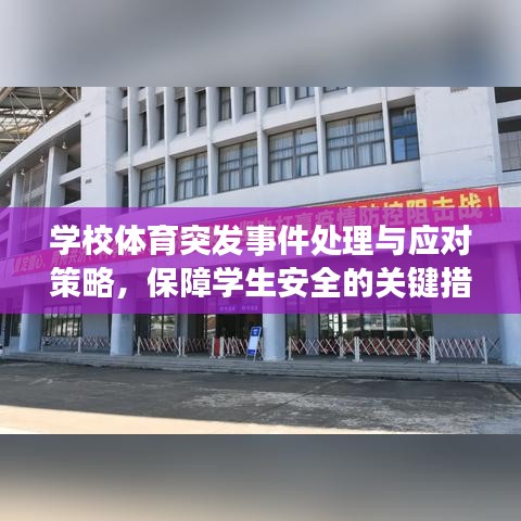 学校体育突发事件处理与应对策略，保障学生安全的关键措施