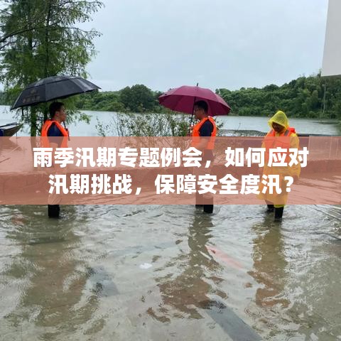 雨季汛期专题例会，如何应对汛期挑战，保障安全度汛？