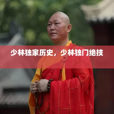 少林独家历史，少林独门绝技 