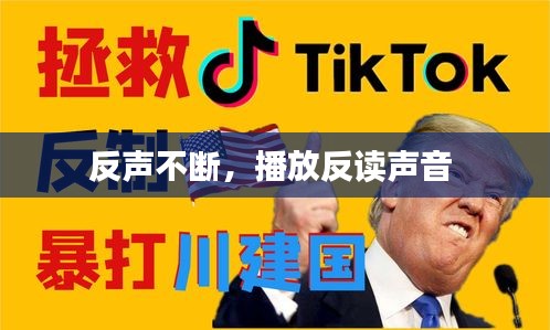 反声不断，播放反读声音 