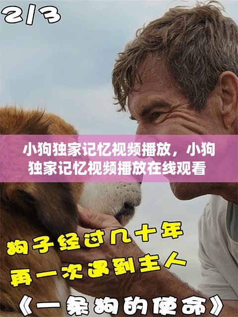 小狗独家记忆视频播放，小狗独家记忆视频播放在线观看 