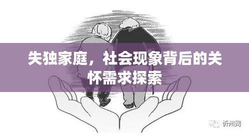 失独家庭，社会现象背后的关怀需求探索