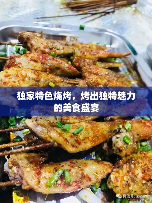 独家特色烧烤，烤出独特魅力的美食盛宴