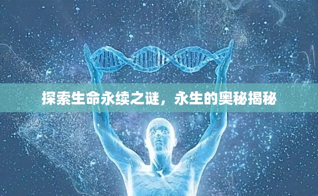 探索生命永续之谜，永生的奥秘揭秘