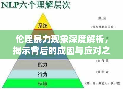 伦理暴力现象深度解析，揭示背后的成因与应对之策