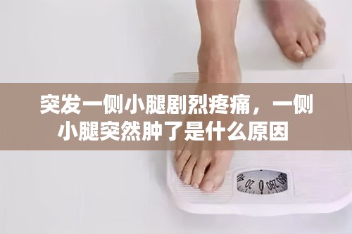 突发一侧小腿剧烈疼痛，一侧小腿突然肿了是什么原因 