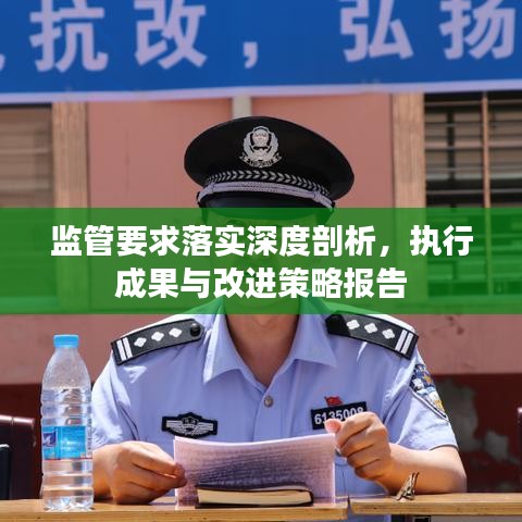 监管要求落实深度剖析，执行成果与改进策略报告