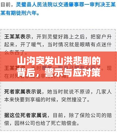 山沟突发山洪悲剧的背后，警示与应对策略探讨